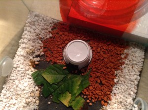 image.jpg (1.48 MiB) 1348 mal betrachtet image.jpg