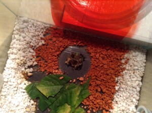 image.jpg (1.35 MiB) 1348 mal betrachtet image.jpg