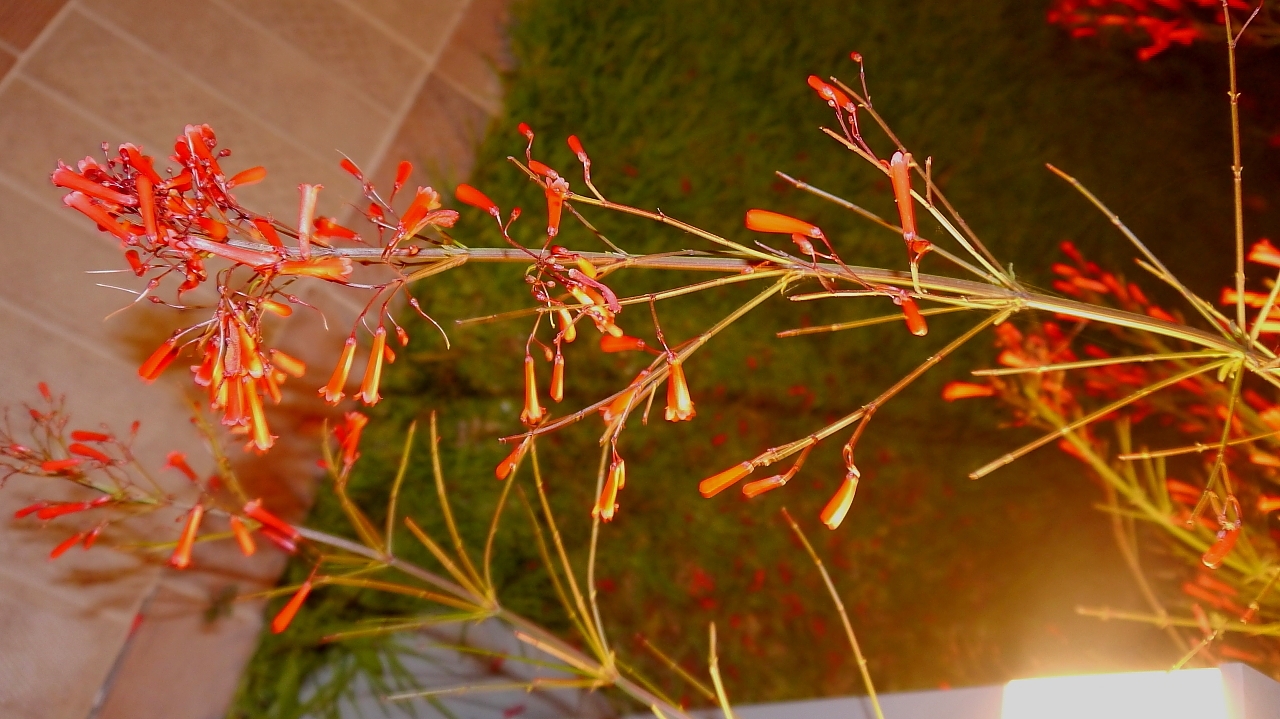Bild11