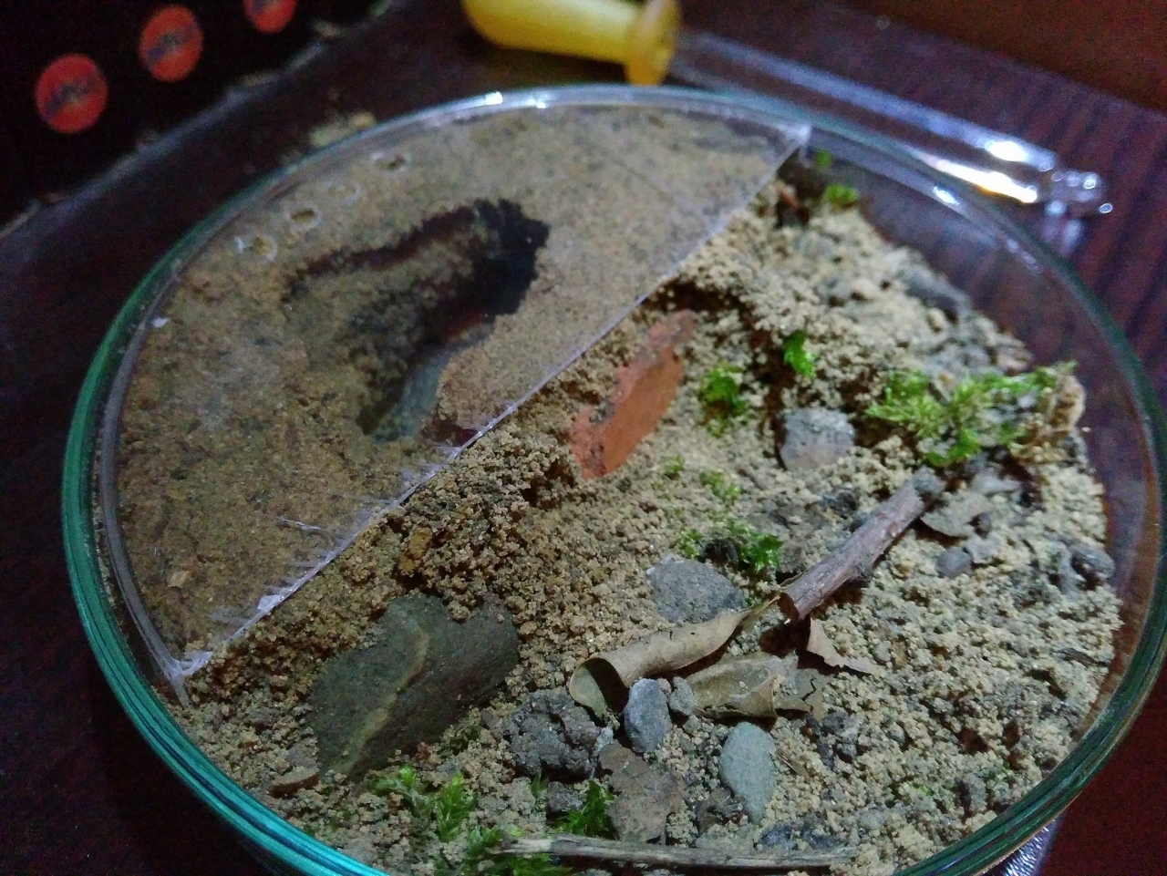 IMG 20180706 235802