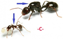 1546