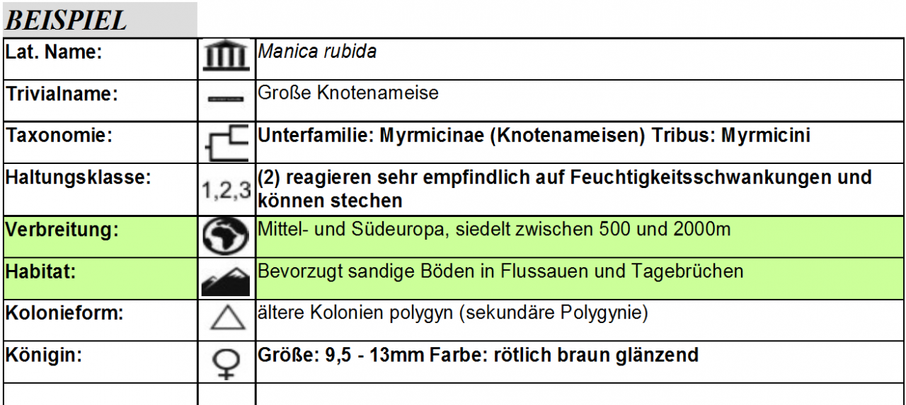 Beispiel
