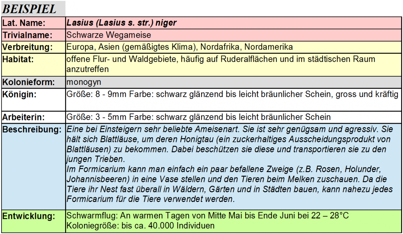 Beispiel 2