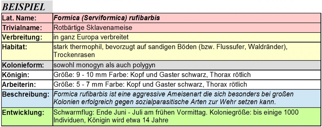Beispiel 4