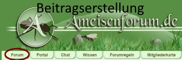 Beitragserstellung