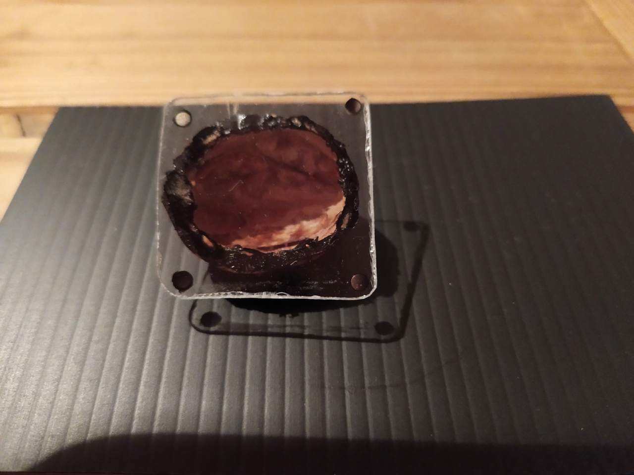 nest1