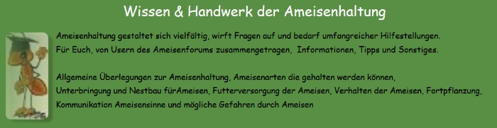 Ameisenwissen