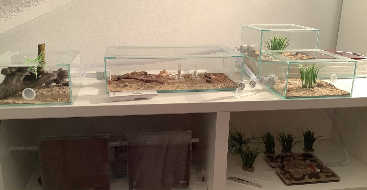 Dolis und Polys Zuhause 1