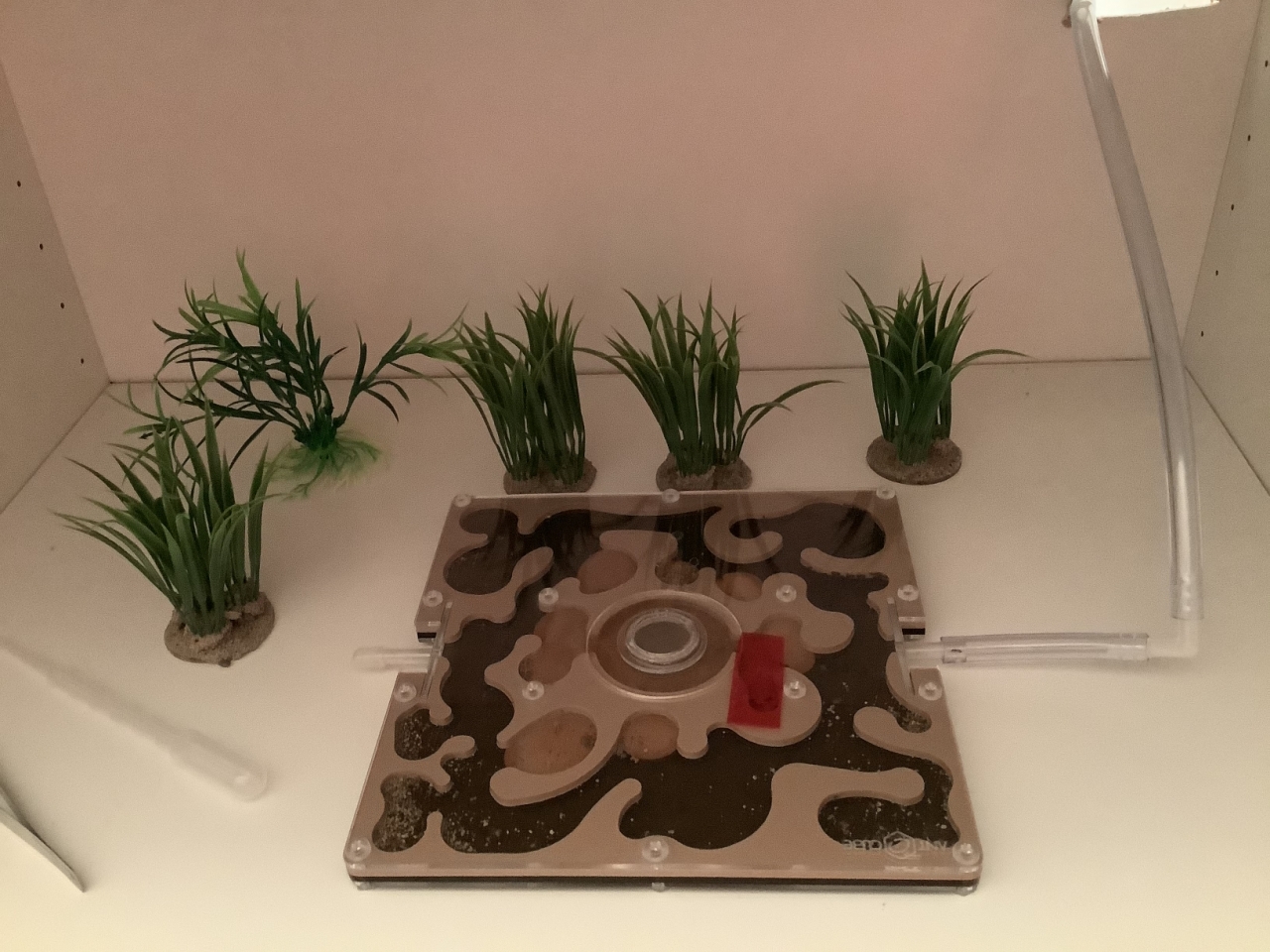 Dolis und Polys Zuhause 4