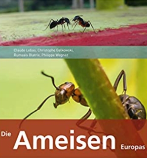 Ameisen Europas