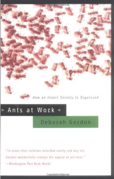 Ants at Work