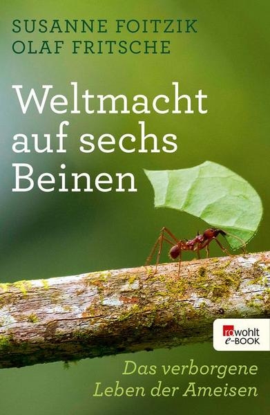 Das verborgene Leben der Ameisen