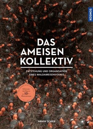 Ameisen Kollektiv