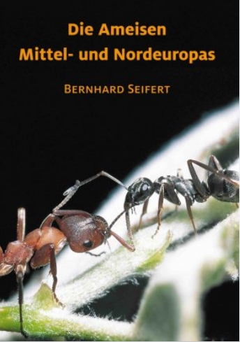Die Ameisen Mittel- und Nordeuropas