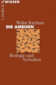 Die Ameisen