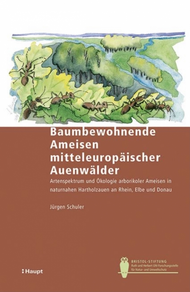 Baumbewohnende Ameisen