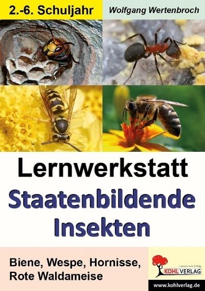Lernwerkstatt