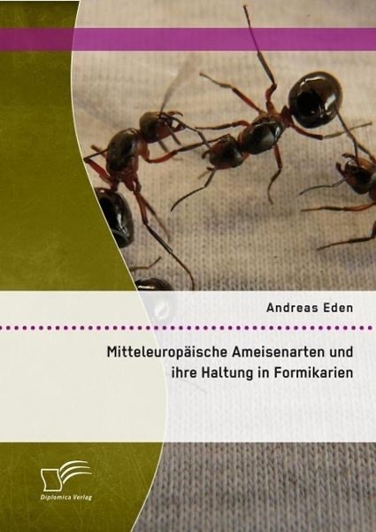 Ameisen in Formikarien
