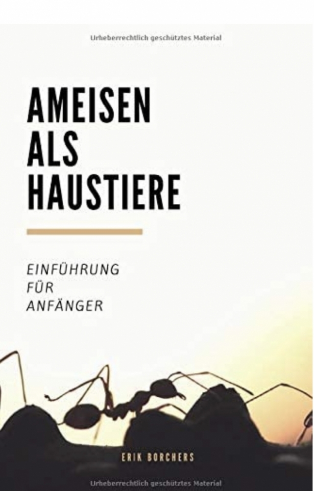 Ameisen als Haustiere