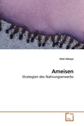 Ameisten Strategien