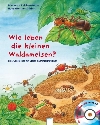 Wie leben die kleinen Waldameisen