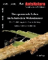 Das spannende Leben der Ameisen