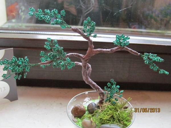 Bonsai2