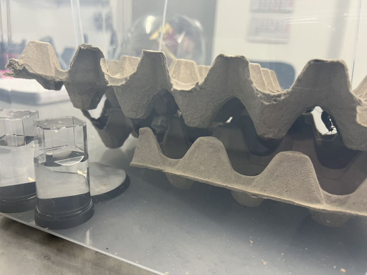 Schokoschaben Setup (3)