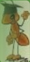 Ameisenmännchen