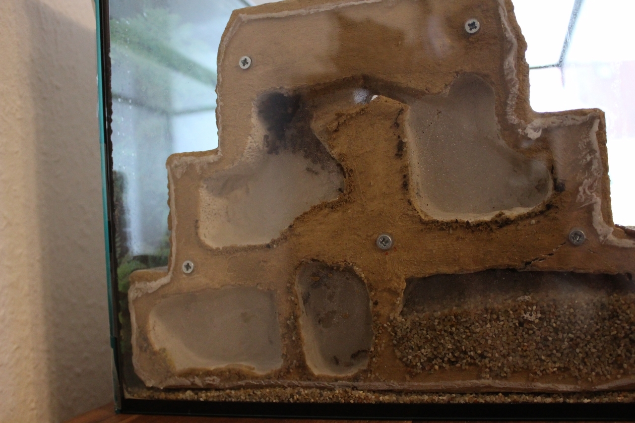 Nest Kammer 2