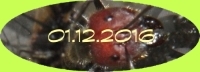 Dezember2016