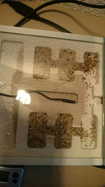 das nest