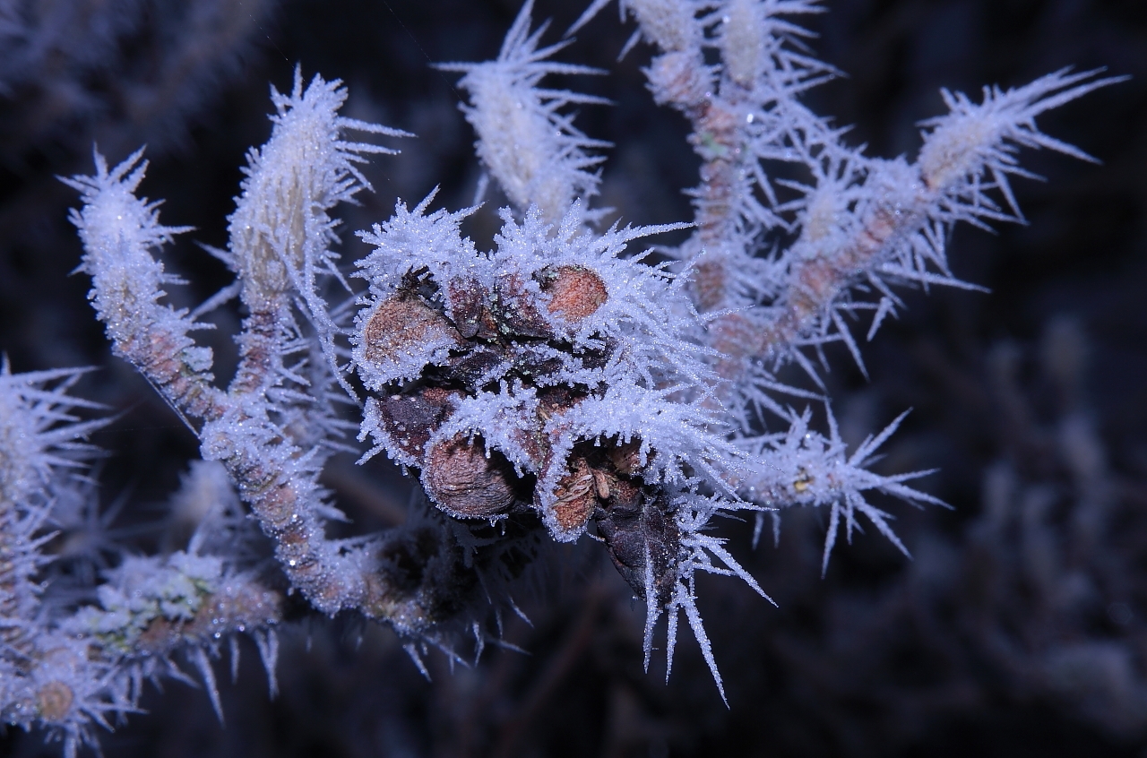 Winter  0