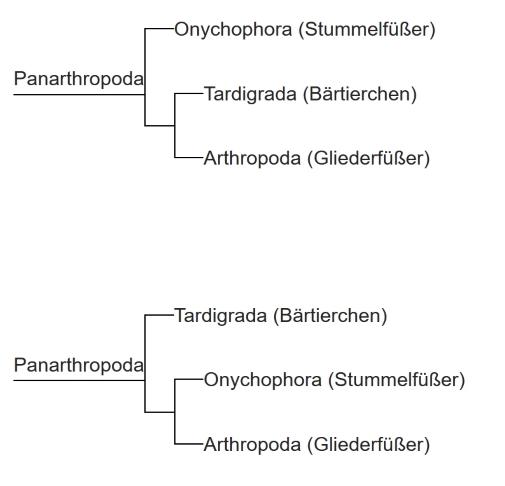 Panarthropoda