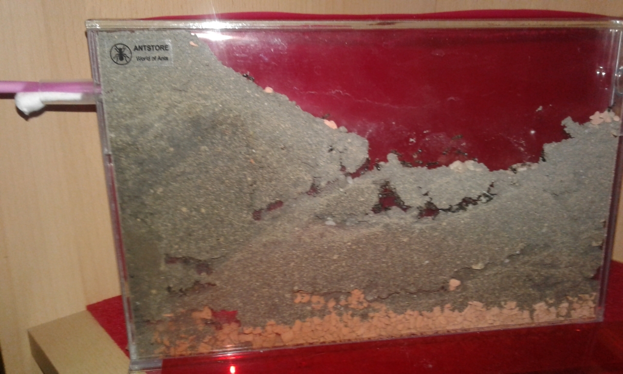 Erde-Sand-Lehm Mischung