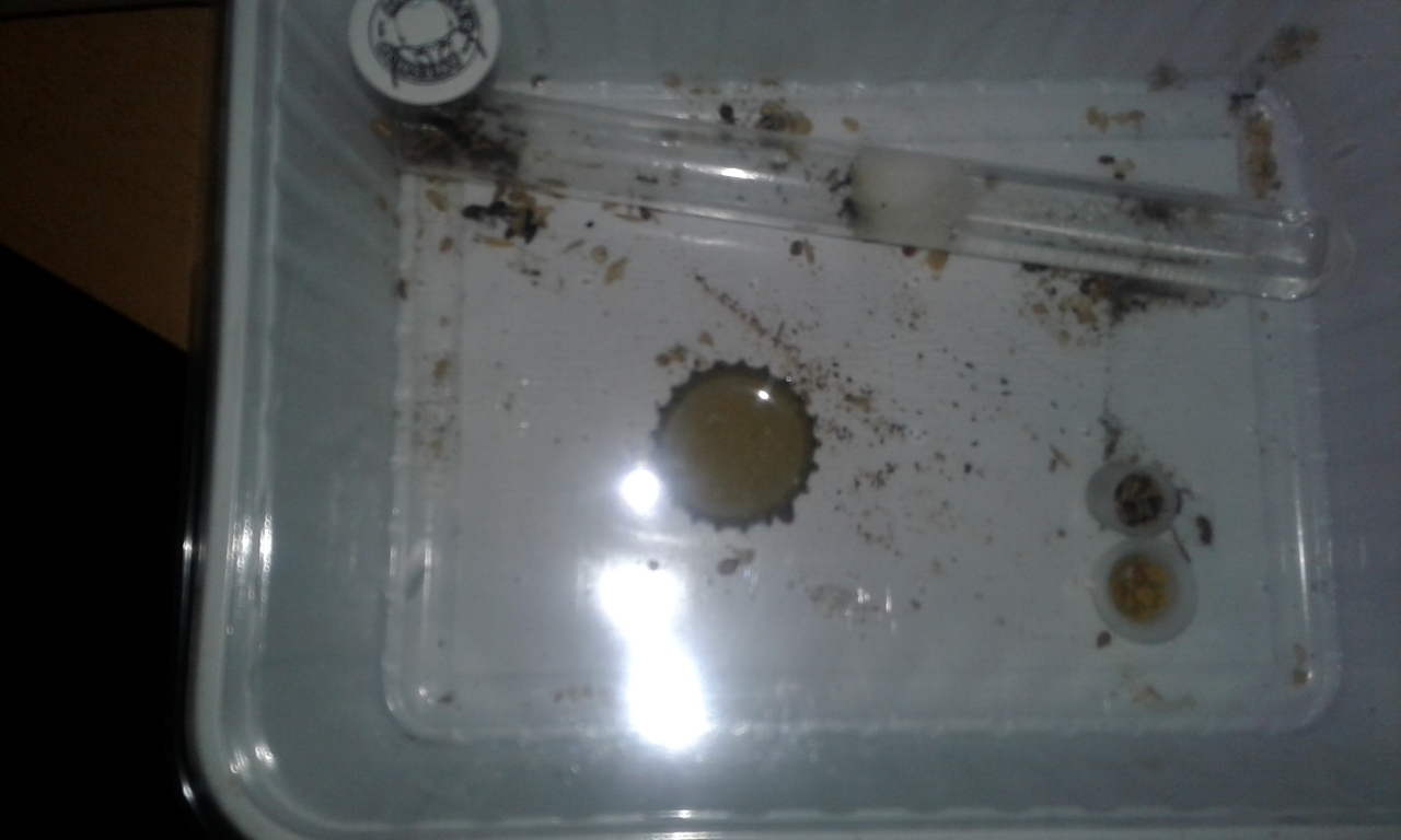 Lieferbox