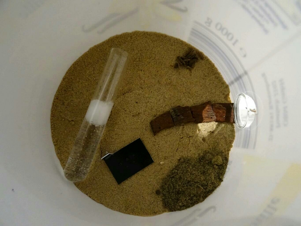 Lasius brunneus - Status quo Arena