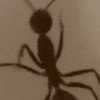 Benutzeravatar