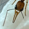 Benutzeravatar