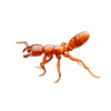 Benutzeravatar