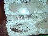 DSC00574 (2).JPG