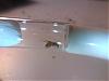 DSC01688.JPG