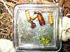 Camponotus ligniperda 055.jpg