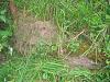 DSCN3176.jpg