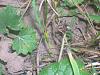 DSCN3170.jpg