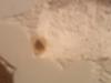 DSC00090.JPG