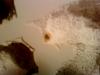 DSC00091.JPG
