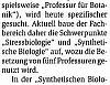 Bienen-Ameisen-passé-2.jpg