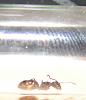 PICT0076.JPG