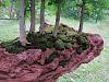 10-Bonsai-2.jpg